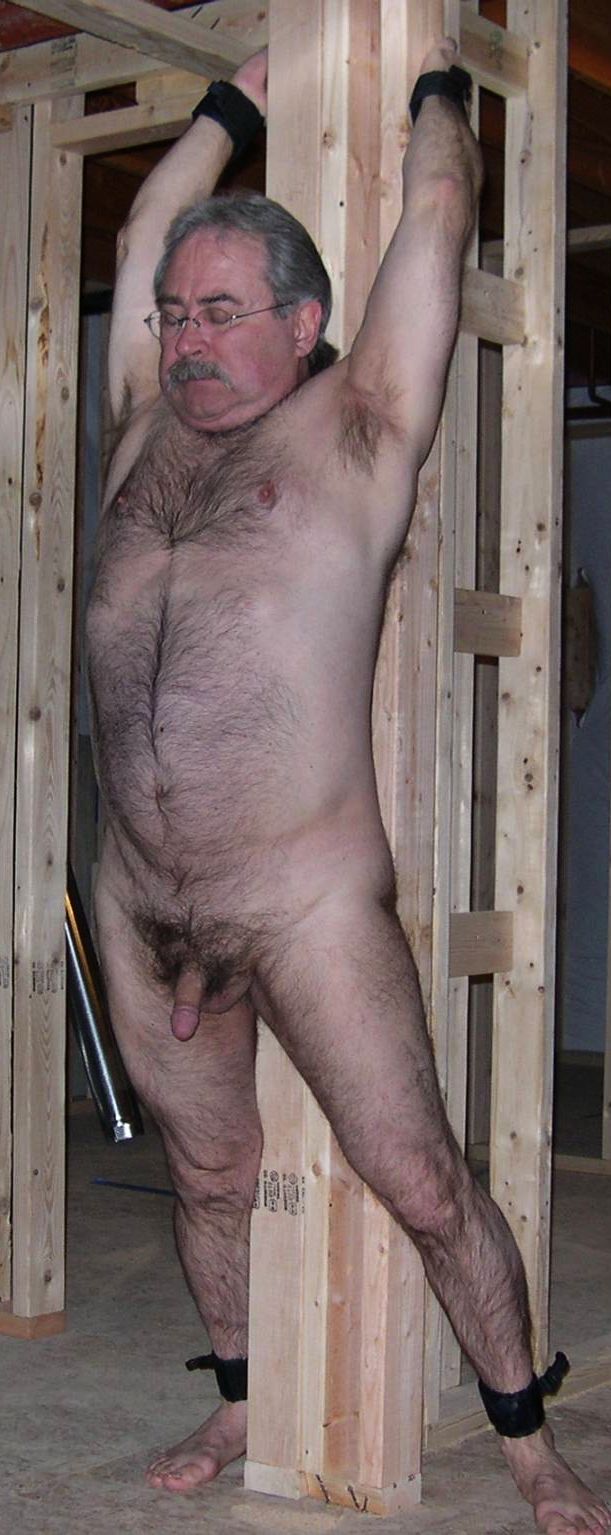 bear Hairy bondage gay
